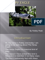 Robby Peak Presentation