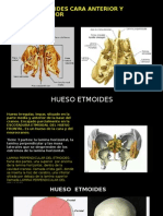 HUESO ETMOIDES (1).pptx