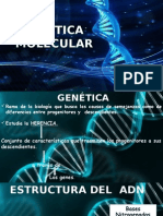 Genetica Molecular 