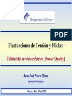 Curso5 Fluctuaciones Flicker