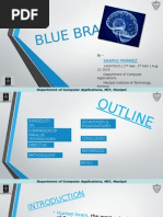 Blue Brain