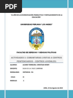 TAREA N° 5 IUS PUNENDI