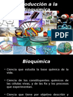 Introduccion A La Bioquimica