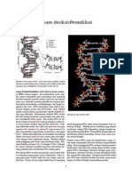 Asam Deoksiribonukleat