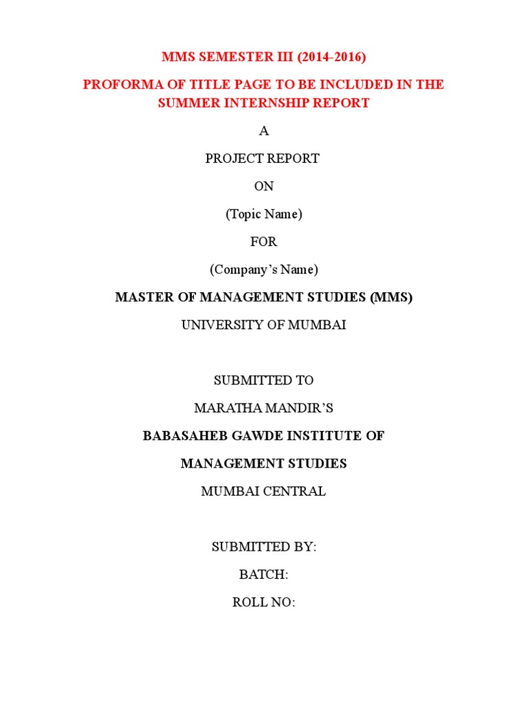 Summer Project First Page Format | PDF