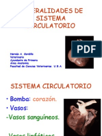 Generalidades de Sistema Circulatorio (Anato II)