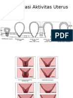 Diferensiasi Aktivitas Uterus