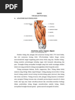 Abses periapikal makalah