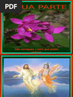 A Tua Parte (Psicografia Clayton Levy - Espírito Scheilla)