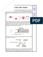 Camino libre medio moléculas