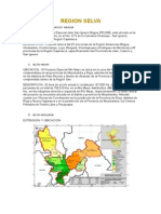 irrigación en la selva