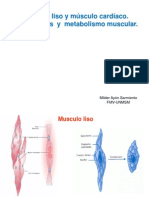 3 Neuro M.liso y Cardiaco, Mecanoreceptores