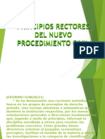 Principios rectores del nuevo proceso civil