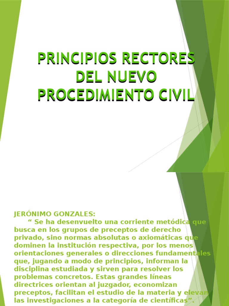 1 Principios Rectores Del Nuevo Procedimiento Civil Procedural Law