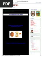 FRUTICULTURA_ Germinación Del Durazno