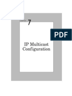 IP Multicast Configuration