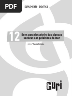 Suplemento Viviane Beineke