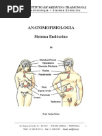 Sistema Endócrino - Caderno 15.doc