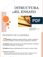 0 Estructura Del Ensayo