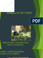 Animals in the Street