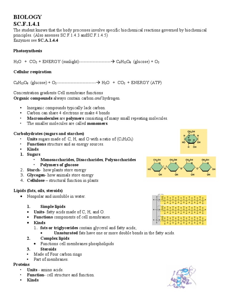 11th Grade Biology Benchmarks Biology Notes Question Integrity