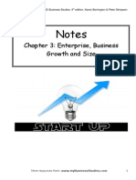 267719342 Chapter 3 Enterprise Business Growth and Size