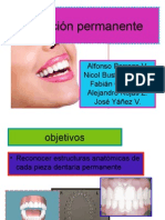  Seminario Morfologia Dental Dientes Permanentes