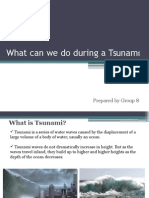 What Can We Do During A Tsunam: Prepared by Group 8