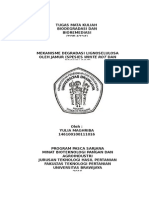 Tugas Bioremediasi - Bu Nia2