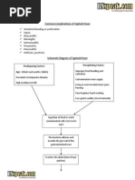 Download Pathophysiology and Schematic Diagram of Typhoid Fever by RN Speak SN278702778 doc pdf