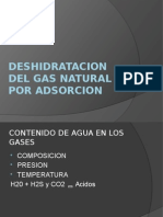 deshidrataciondelgasporadsorcion-100823112815-phpapp01