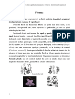 Botanica - Pentru Studentii Anului I - Floarea - Descriere Morfo-Anatomică