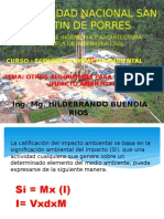 calificacion de impacto ambiental