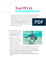 Delfín Información