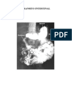 Apostila Detransito Intestinal.