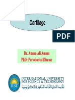 1cartilage DR Amam PDF