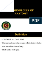 2 Intro Anatomy