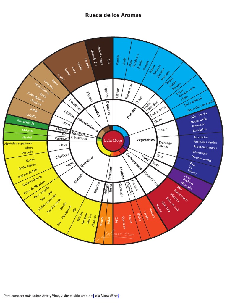 Rueda De Aromas Del Vino PDF