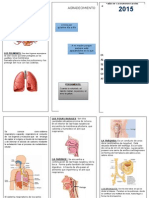 Triptico Del Sistema Respiratorio