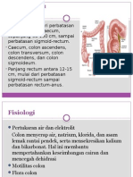 Anatomi Colorectal