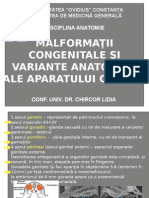 Malformatii