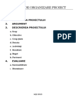 Format de Organizare Proiect