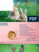 Rakordiv 5 PDF