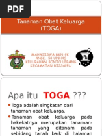 Tanaman Obat Keluarga TOGA