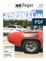 strassenfeger Ausgabe 15/2015 - Adrenalin