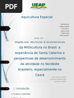 Aspectos Técnicos e Econômicos Da Mitilicultura No Brasil. a Experiencia de SC