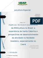Aspectos Técnicos e Econômicos Da Mitilicultura No Brasil. a Experiencia de SC