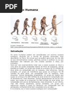 Evolução Humana