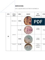 Resultados y Observaciones