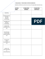 Cuadro Comparativo de Funciones Nitrogenadas